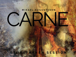 mikael-augustsson-carne_800